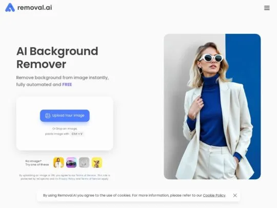 Removal.AI