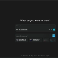 Perplexity AI