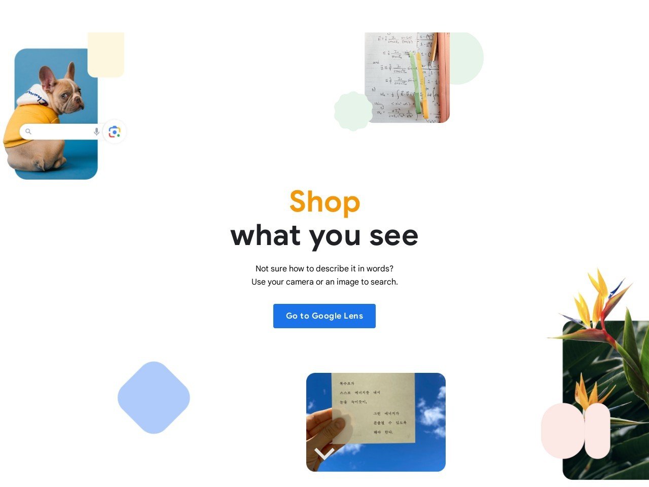Socratic by Google